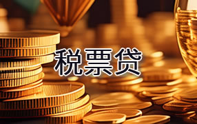 南平税票贷